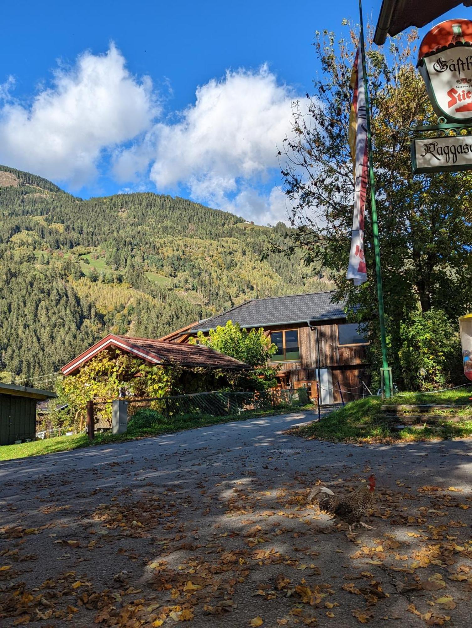 Chalet Schmelz Huette Mit Sauna Und Garten Flattach Extérieur photo